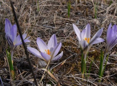 �������, 30 �����, ����� ���������� ����������