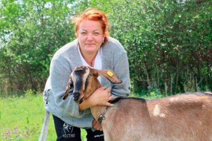 За последние 5 лет почти 4000 жителей Белгородской области заключили социальный контракт на развитие личного подсобного хозяйства