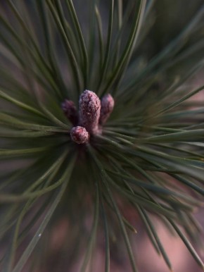 ������ 30 �����. ������� ��������� ������� ��������� ������