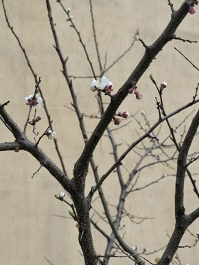 ������ ����, ����������!. ������� ��� ������� ���������, �� ����� ����: ��������� ������� �� + 18 ��������