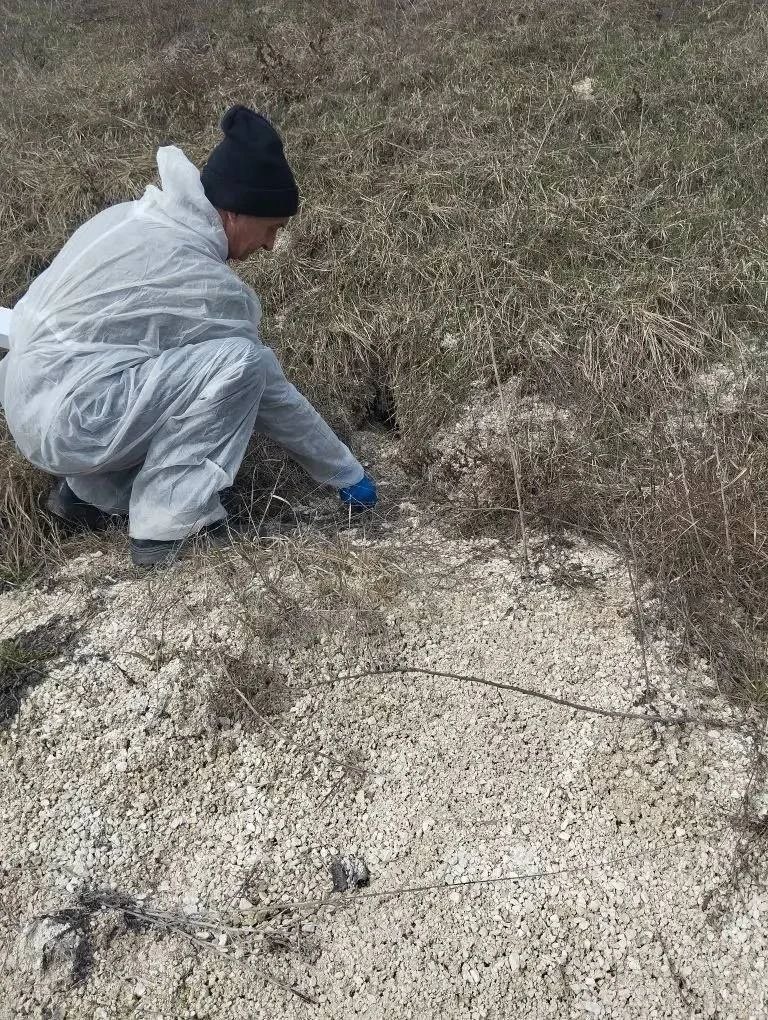 Работники МБУ "Охотник" совместно с сотрудниками государственной ветеринарной службы провели оральную иммунизацию диких плотоядных животных Работники МБУ "Охотник" совместно с сотрудниками государственной ветеринарной службы провели оральную иммунизацию диких плотоядных животных