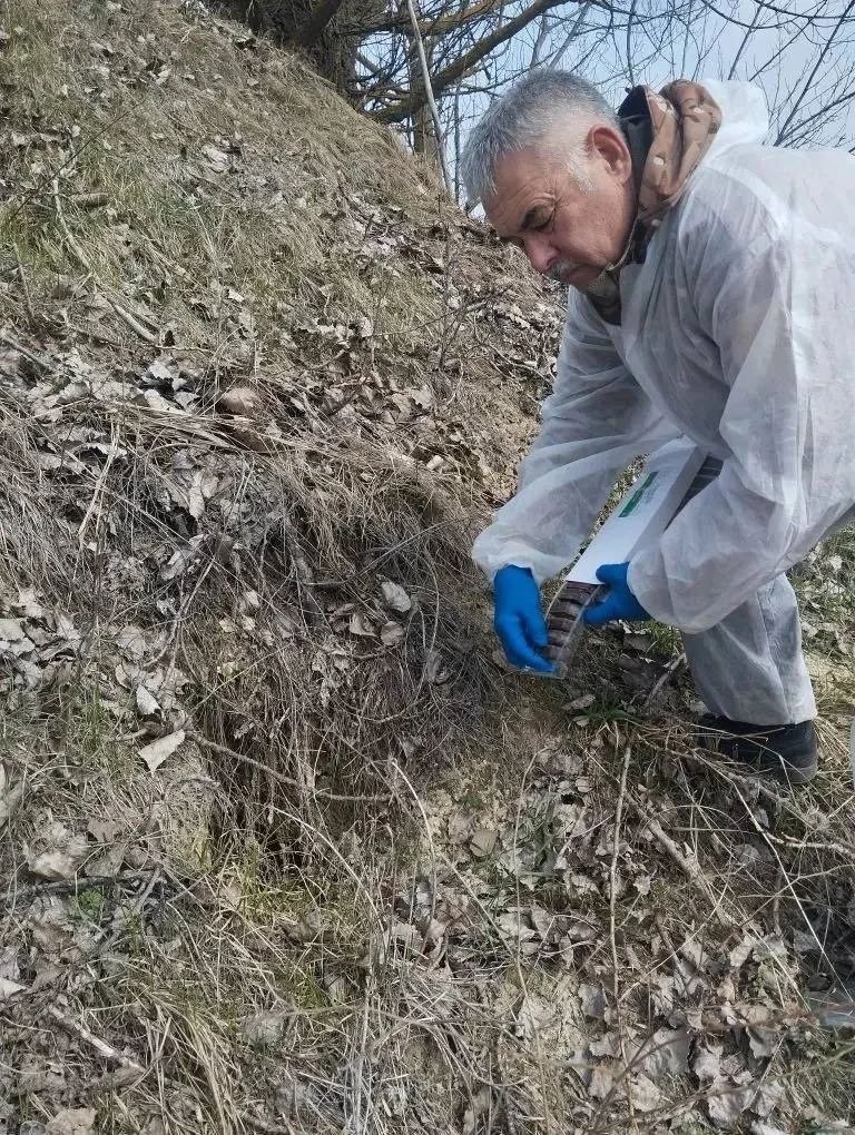 Работники МБУ "Охотник" совместно с сотрудниками государственной ветеринарной службы провели оральную иммунизацию диких плотоядных животных
