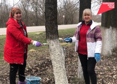 � ��������� ������ ������������ ����������� �� ������������� �������� ������������ �������