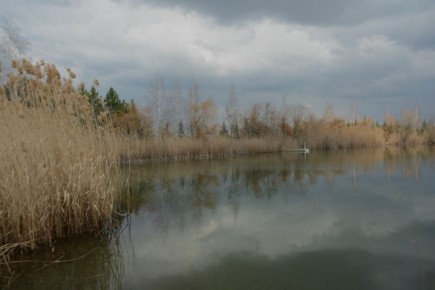 ������ 1 ������. ������� ��������� ������� ��������� ������ � ��������� �����