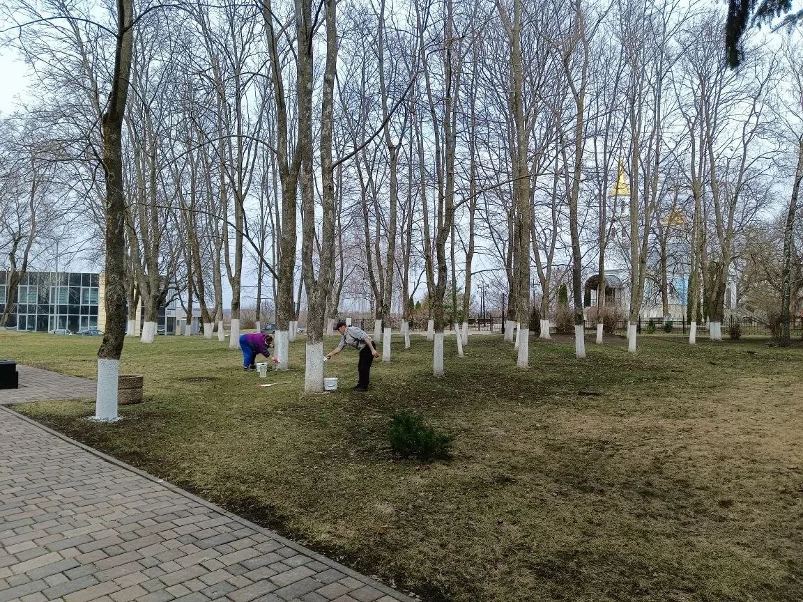 Татьяна Круглякова: В Белгородском муниципальном округе продолжается экологическая акция «Дни служения Белгородской области» Татьяна Круглякова: В Белгородском муниципальном округе продолжается экологическая акция «Дни служения Белгородской области»