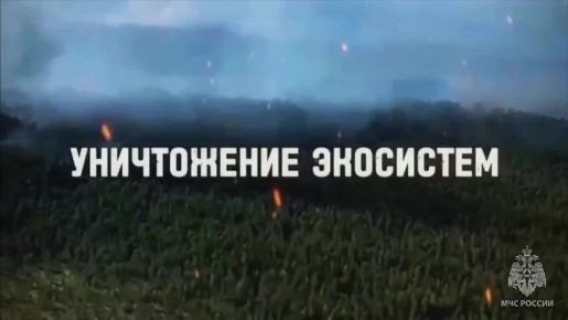 ��� ������ ���������� �� ���������� ������� ����� �����