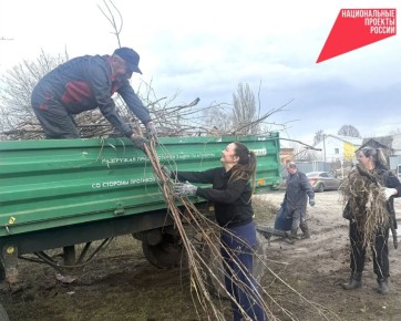 ������������ ������� ��������� � ��������� ������������� �������� �������, ������� ���������� � ������ ������������� ������� �������������� ������������