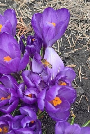 ������ ��������� ������. ��������� ������������ � � ��������� �������