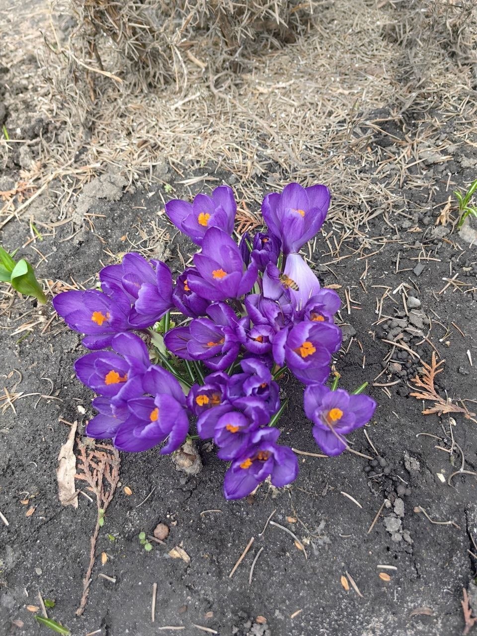 Апрель встречаем грозой. Синоптики прогнозируют её в отдельных районах Апрель встречаем грозой. Синоптики прогнозируют её в отдельных районах