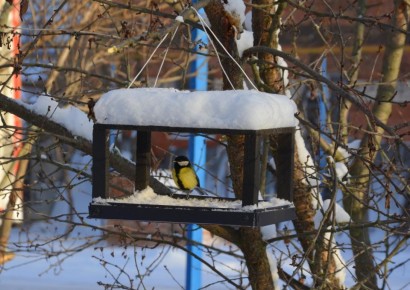 1 ������ ���������� ������������� ���� ���� � ��������, ����������� �������� ���������� ����� �������