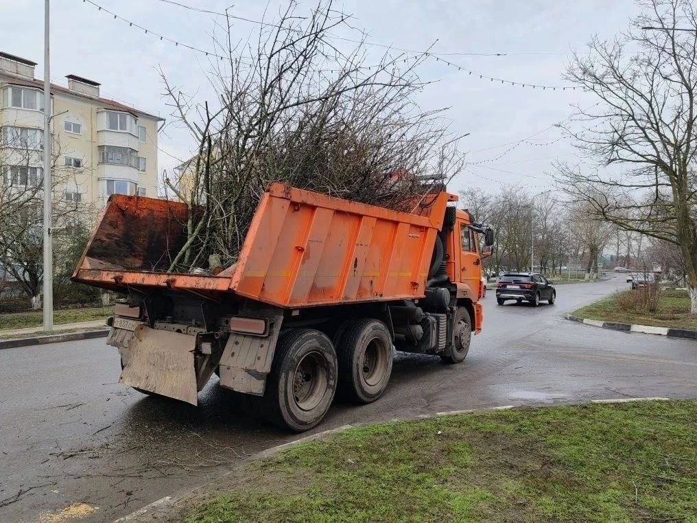 Татьяна Круглякова: В Белгородском муниципальном округе продолжается экологическая акция «Дни служения Белгородской области»