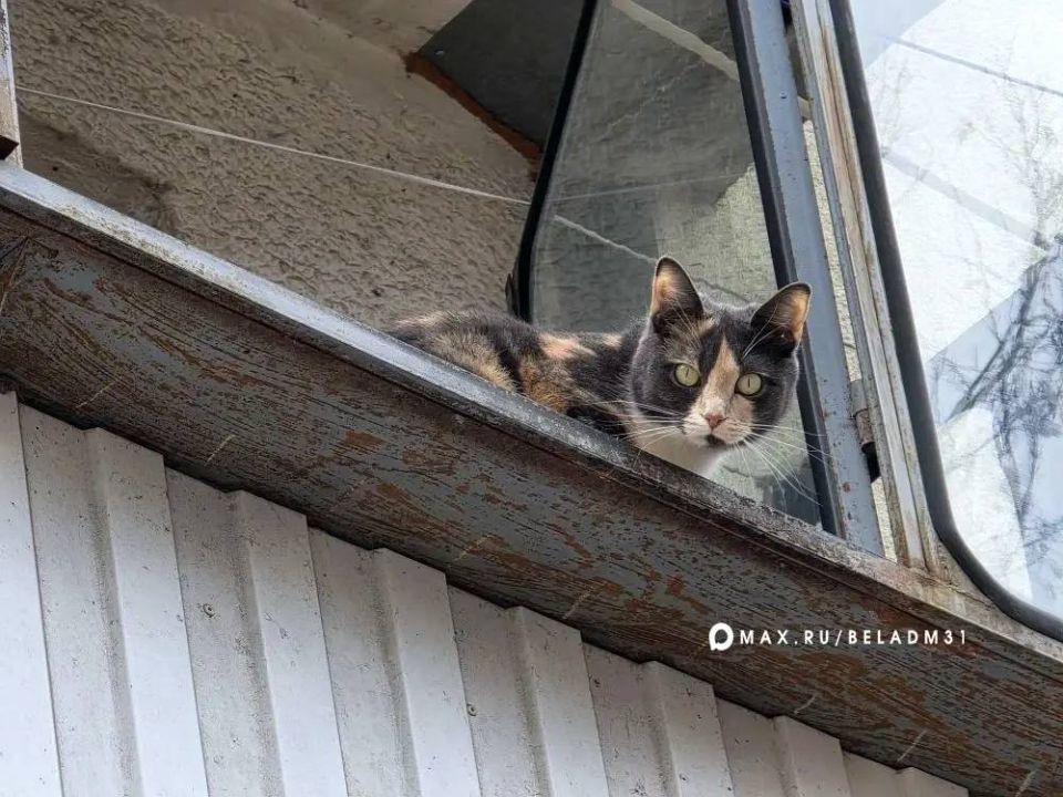 ������ ����!. �������, 1 ������, ��������� ����� � ������� �����