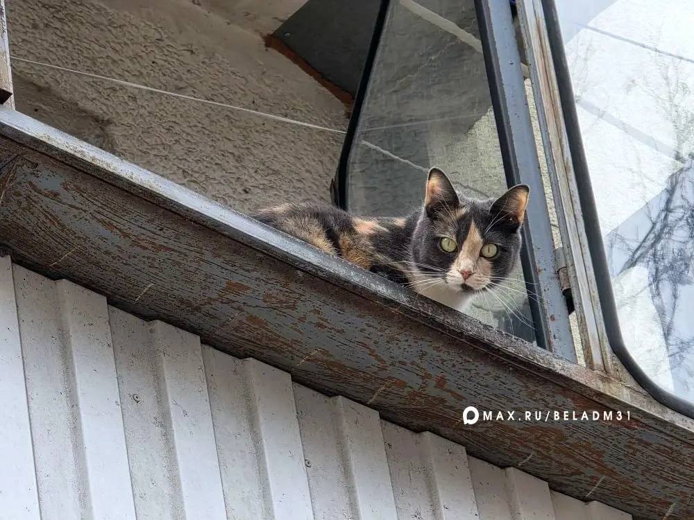 Доброе утро!. Сегодня, 1 апреля, ожидается дождь и местами туман