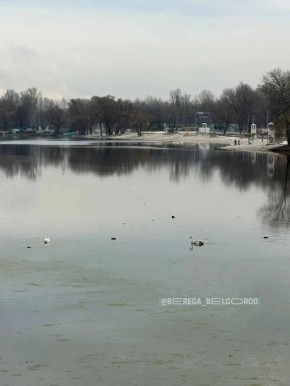 � ����� ������� �������� ���� ������� �������, ����������� � �������� � �������� �����