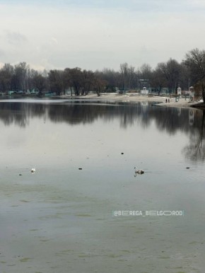 ���� ������� ������� ��������� � ���� �������