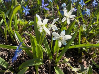 ������ ����, ����������!. ������ ���������� ������� ����� ������� ��� �����