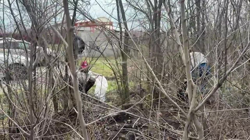 ������ �� ���������� ����� - ���� ����� ���������������