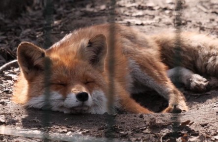 �� +19�� �������!. � �������, 3 ������, ������� ������� ��������������� �����