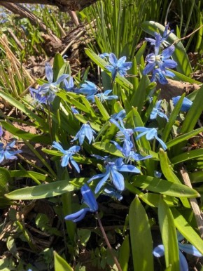 ������ ����, ����������!. ������� ������� �������� �������� ���