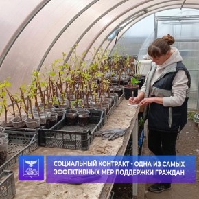 Жительница села Фощеватово Ольга Сергеева доказала, что социальный контракт — это не только поддержка, но и реальный шанс воплотить мечты в жизнь!