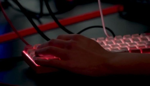 В Киберполиции России рассказали о самых популярных способах мошенничества