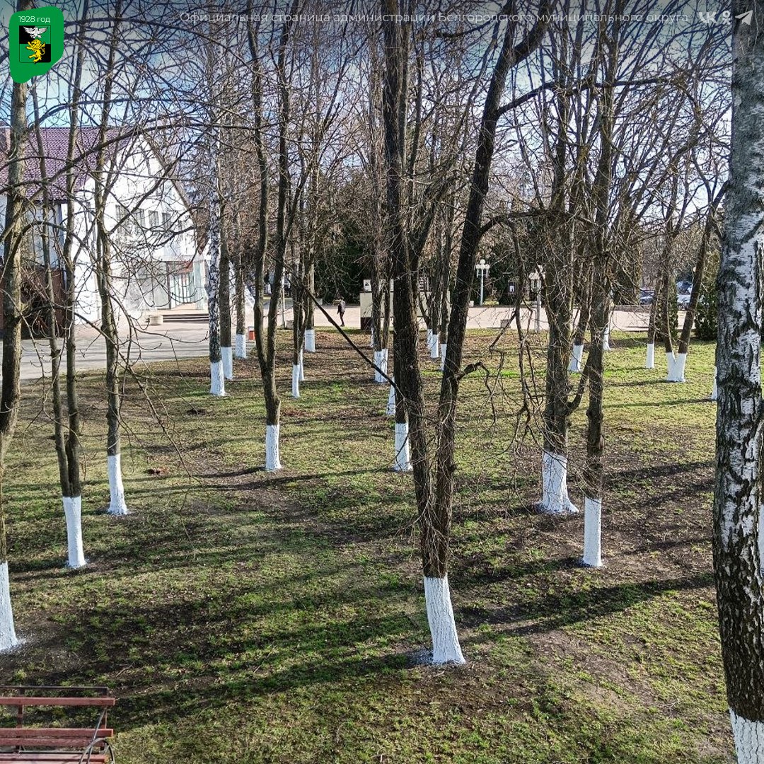 Масштабные работы по благоустройству нашего края идут полным ходом Масштабные работы по благоустройству нашего края идут полным ходом