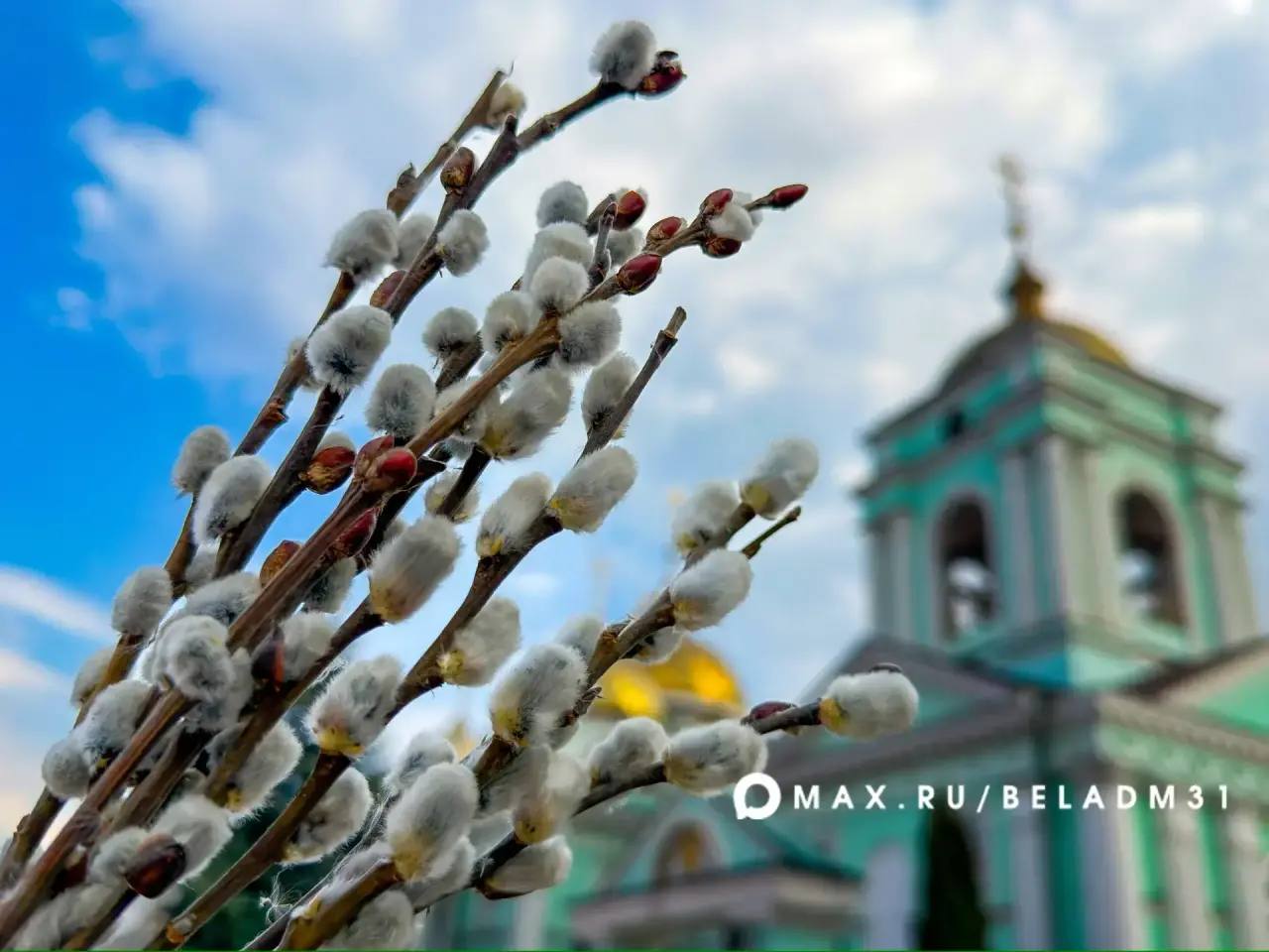 Доброе утро, любимый город! Сегодня, 5 апреля, мы отмечаем светлый праздник — Вербное воскресенье