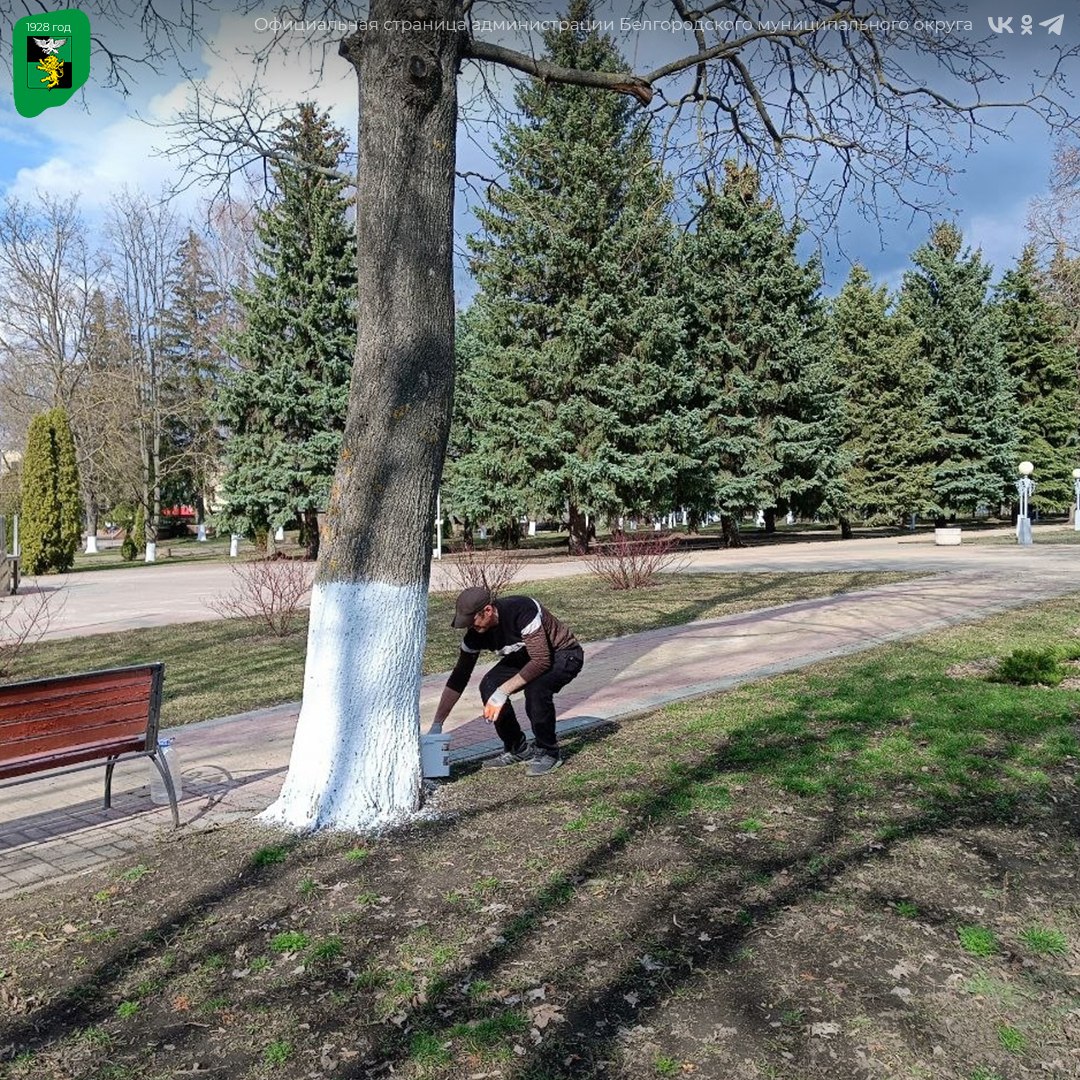 Масштабные работы по благоустройству нашего края идут полным ходом Масштабные работы по благоустройству нашего края идут полным ходом