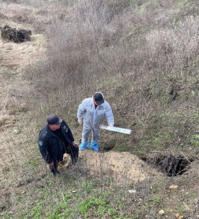 В Белгородской области проходит весенний этап вакцинации диких плотоядных животных против бешенства