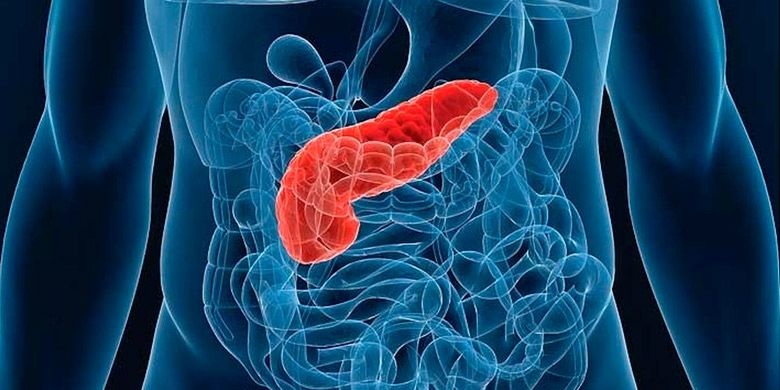 Как поджелудочная наладила работу после отказа от привычных продуктов