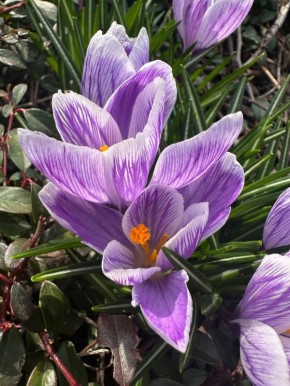 Погода 5 апреля. Сегодня синоптики обещают ясную погоду