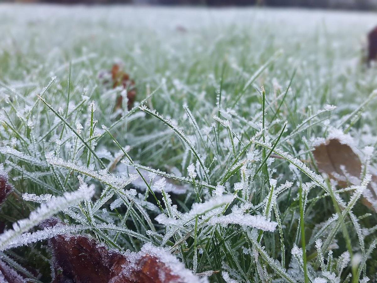 Как защитить свой участок от ночных морозов: советы для садоводов