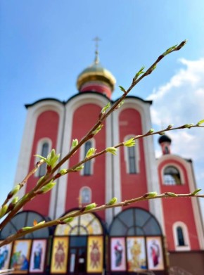 Уважаемые краснояружцы!. Сегодня Вербное Воскресенье, последнее воскресенье перед Пасхой, праздник, посвященный одному из главных событий евангельской истории – входу Господа Иисуса Христа в Иерусалим