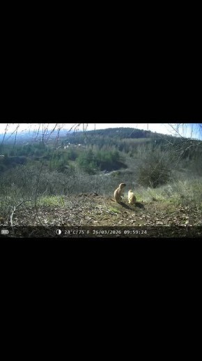 ����� � ������������ ���� �����