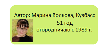 Когда триммер становится проблемой: история огородных столкновений