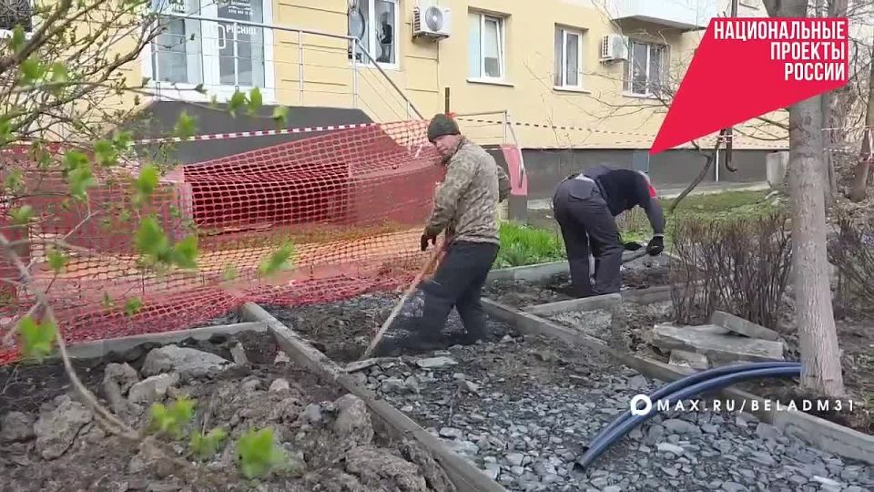 ����� ������������ ����������� ������� � ��������� � 2026 ����
