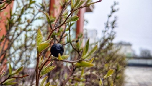 �������, 7 ������, ��� ��� �������� � ������������ ������