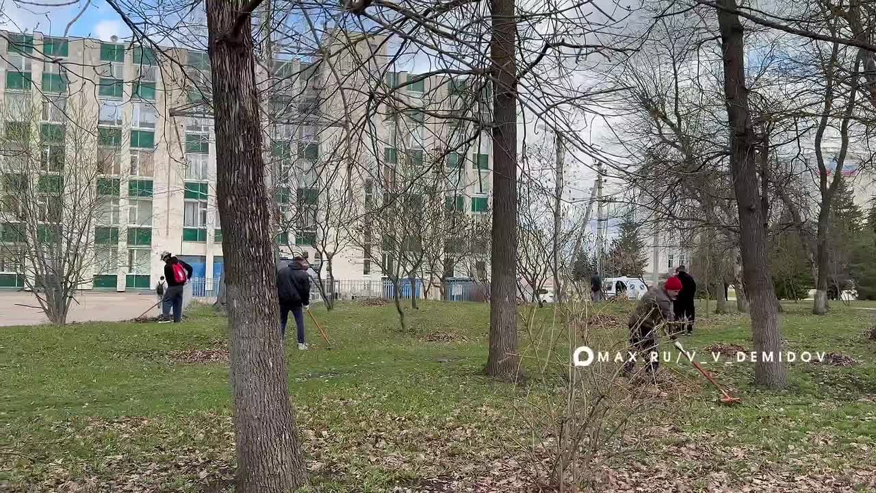 Сегодня в субботнике приняли участие около 250 белгородцев