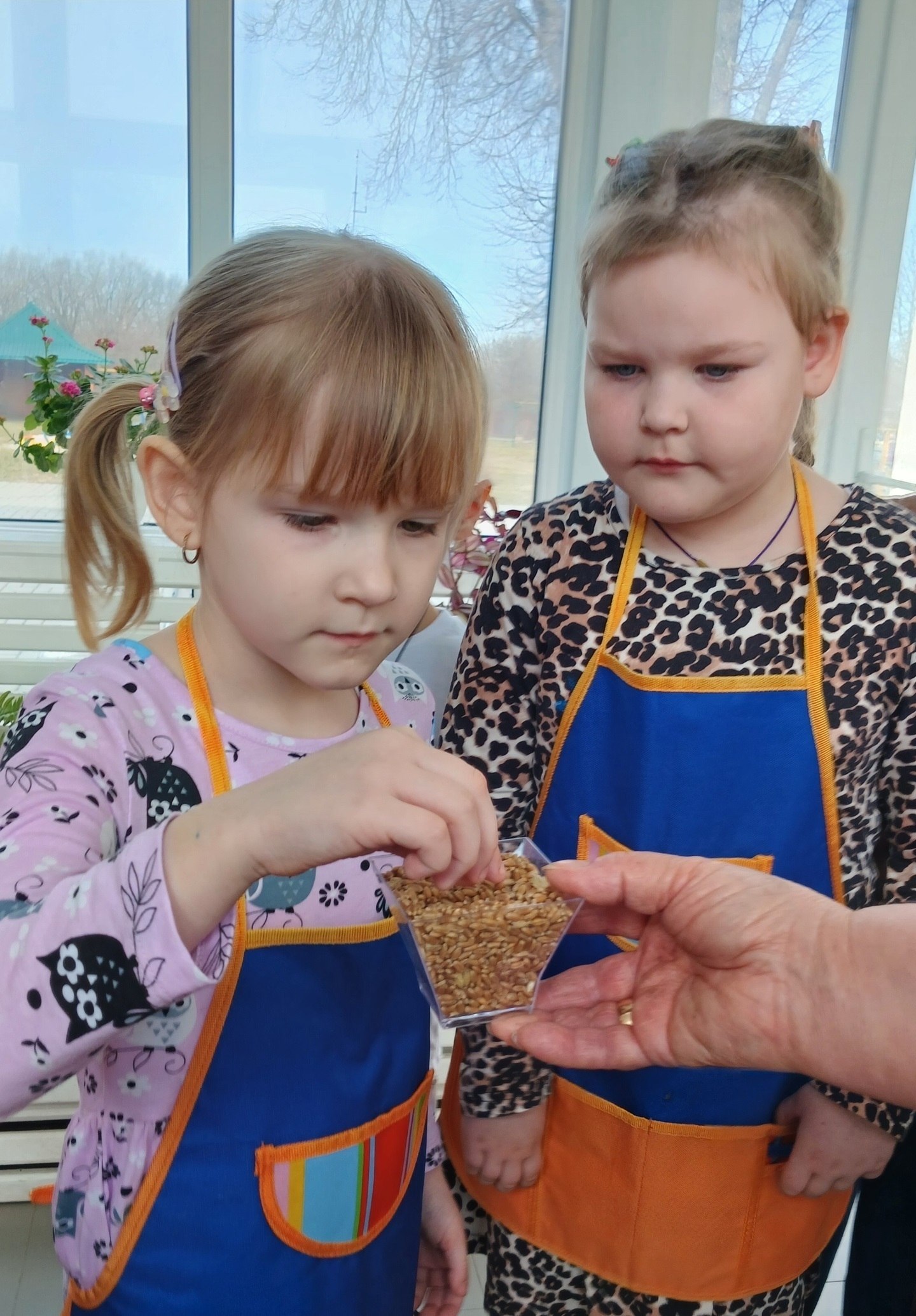 В дошкольных учреждениях нашего округа реализуется системная профориентационная работа в рамках нацпроекта «Молодёжь и дети» В дошкольных учреждениях нашего округа реализуется системная профориентационная работа в рамках нацпроекта «Молодёжь и дети»