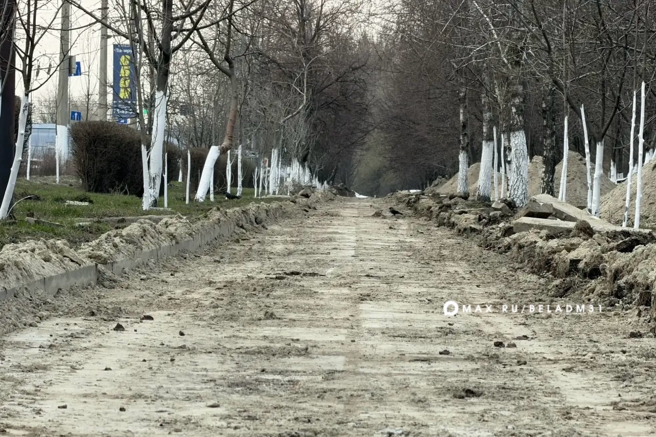 В Белгороде начали благоустраивать прогулочную зону на малой Богданке