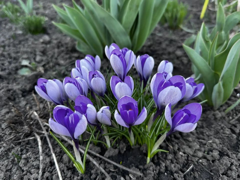 ������ �������� ������� ��������� ����� ���� � �������������, ��� ����� ��������� �������� � ��������