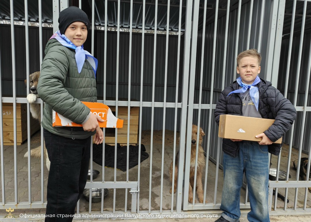 Обучающиеся школы № 4 города Валуйки вместе с родителями и педагогами побывали в приюте для бездомных собак Обучающиеся школы № 4 города Валуйки вместе с родителями и педагогами побывали в приюте для бездомных собак