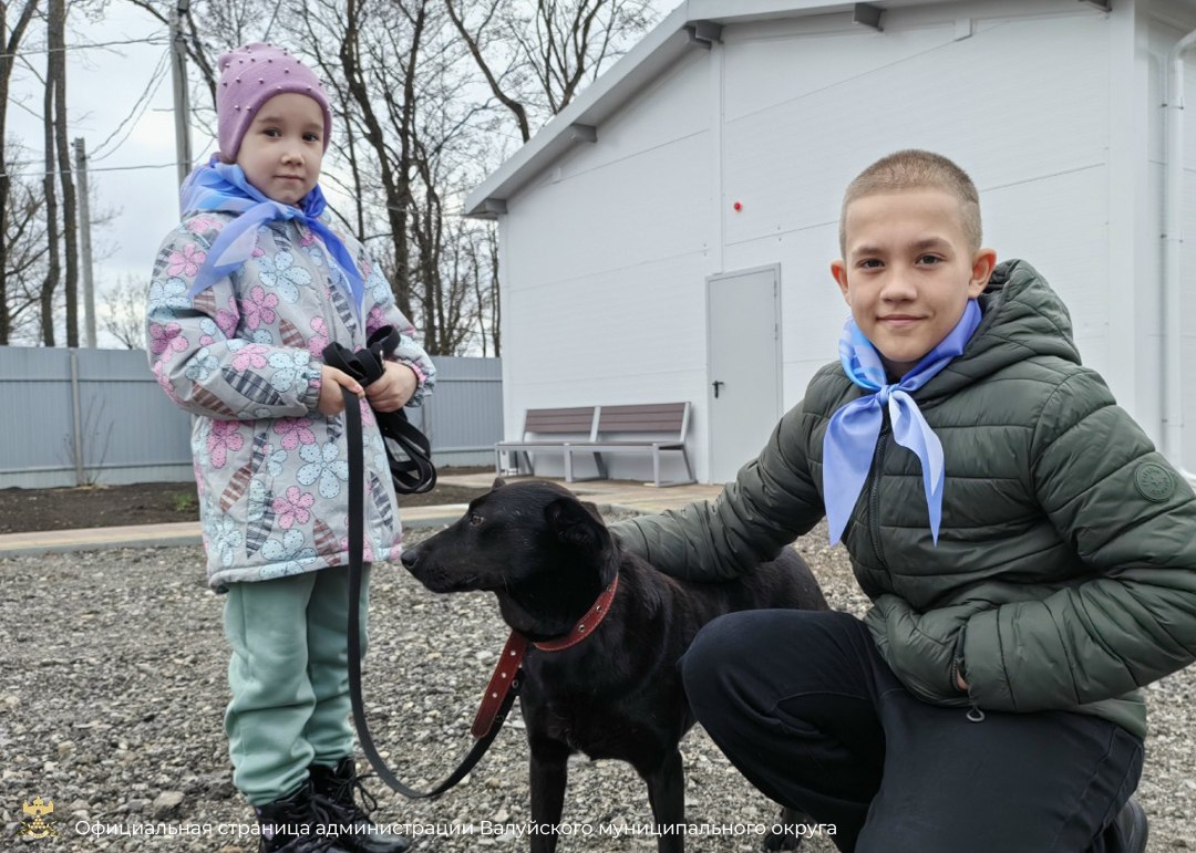 Обучающиеся школы № 4 города Валуйки вместе с родителями и педагогами побывали в приюте для бездомных собак Обучающиеся школы № 4 города Валуйки вместе с родителями и педагогами побывали в приюте для бездомных собак