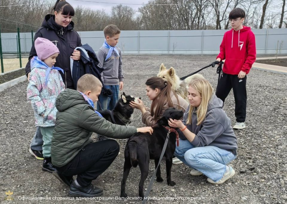 ����������� ����� � 4 ������ ������� ������ � ���������� � ���������� �������� � ������ ��� ��������� �����