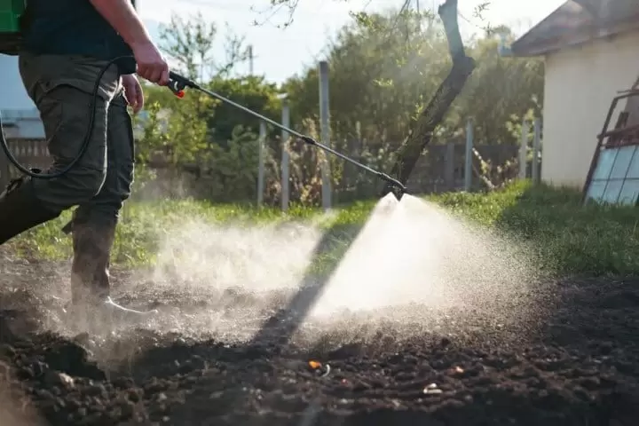 Весеннее пробуждение огорода: как защитить растения от вредителей