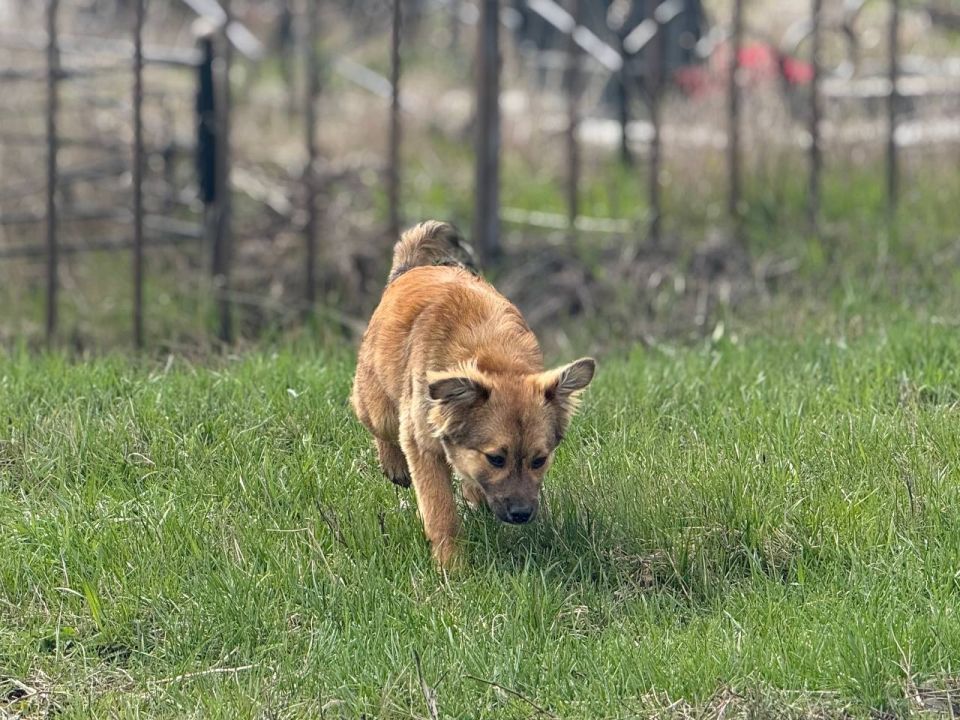 ������� ����������: ���������, ��� ��� ���������� ������� � ������������ ��������� �������� �������� �����������