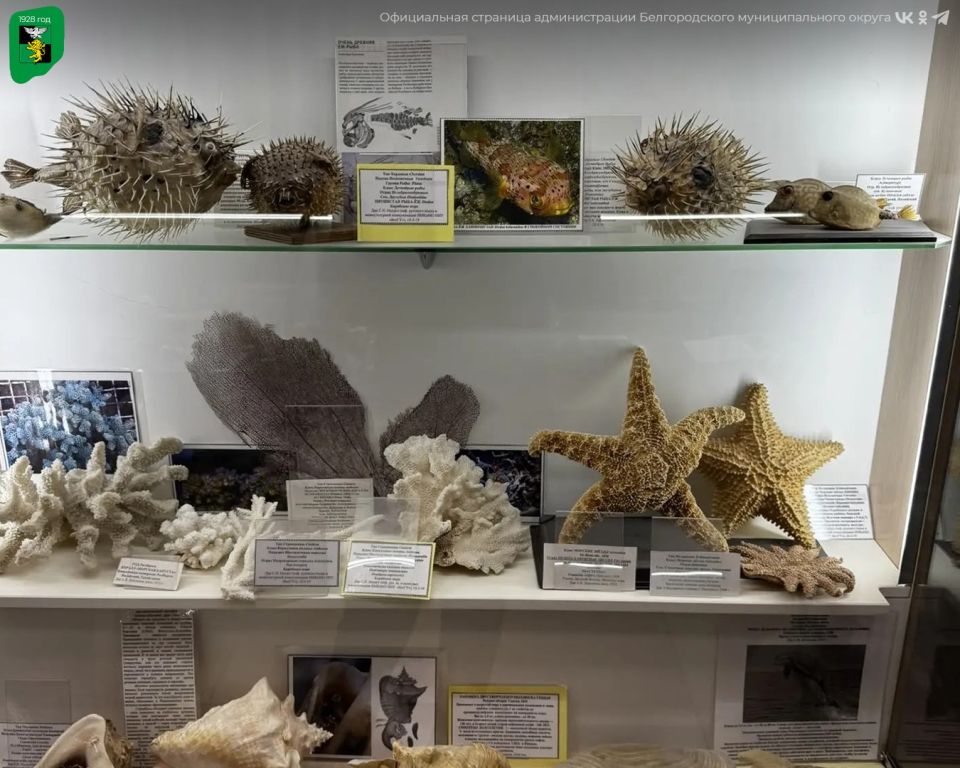 �������� ������������� ����� �������� �������-���������������� ����� ��� �����ӻ