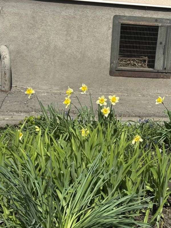 ������ 8 ������. ������� ��������� ������� ��������� �����