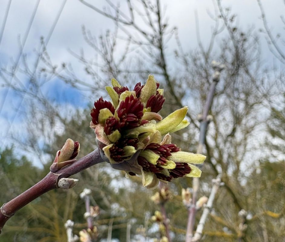 ������ �������� ������� ��������� ����� ���� � �������������, ��� ����� ��������� �������� � ��������