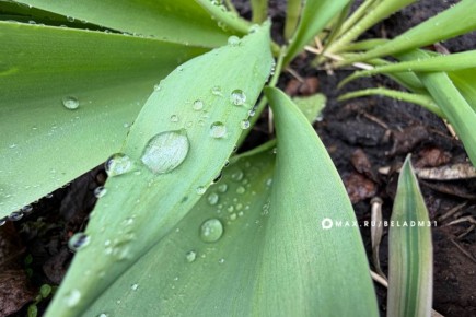 ������ ����, ��������!. �� ����� �������� � �����